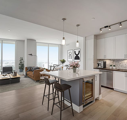 Apartment living area with modern kitchen, comfortable sitting area, and large windows.