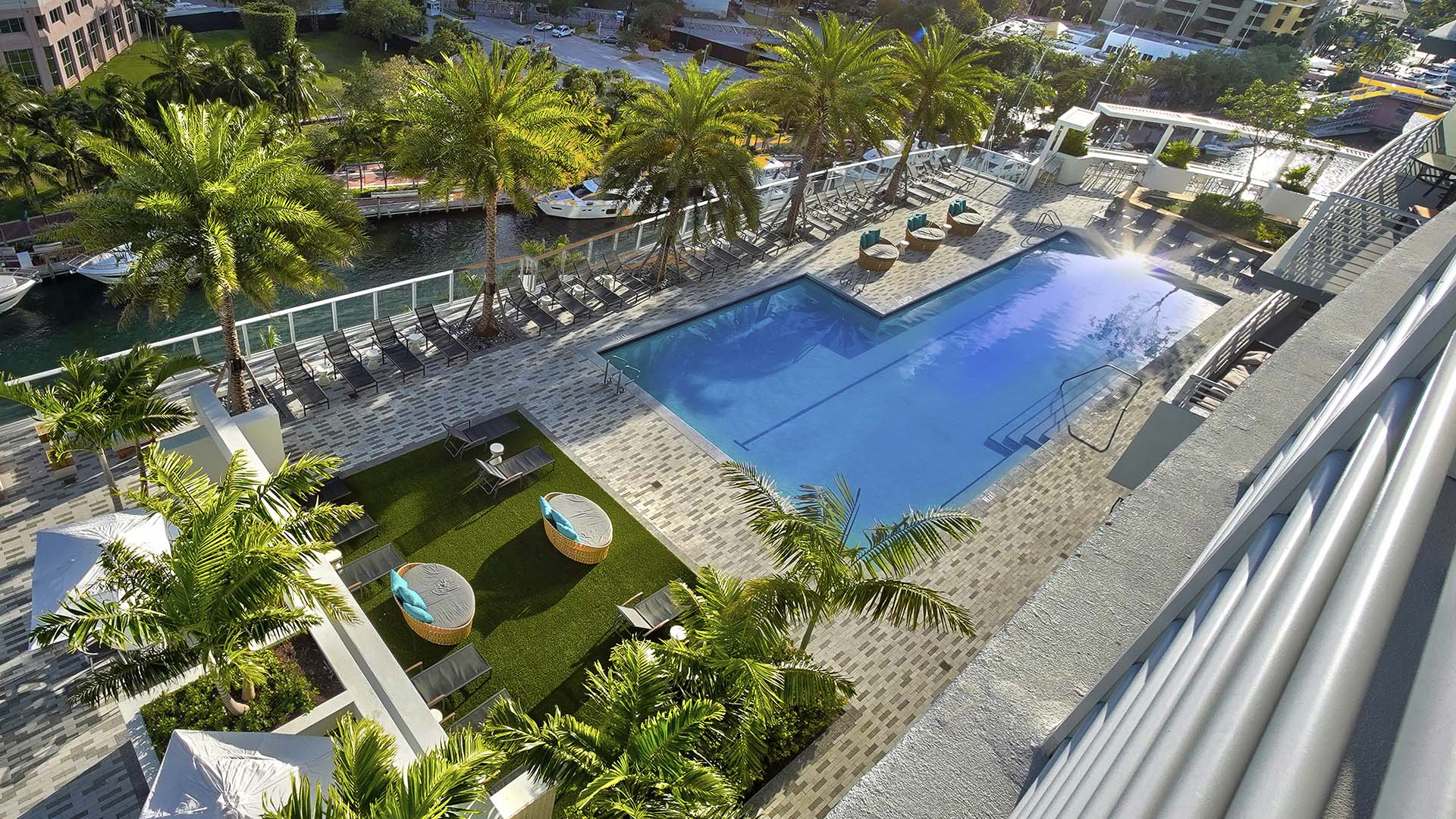 Rooftop pool with lounge chairs, daybeds, and tall palm trees.