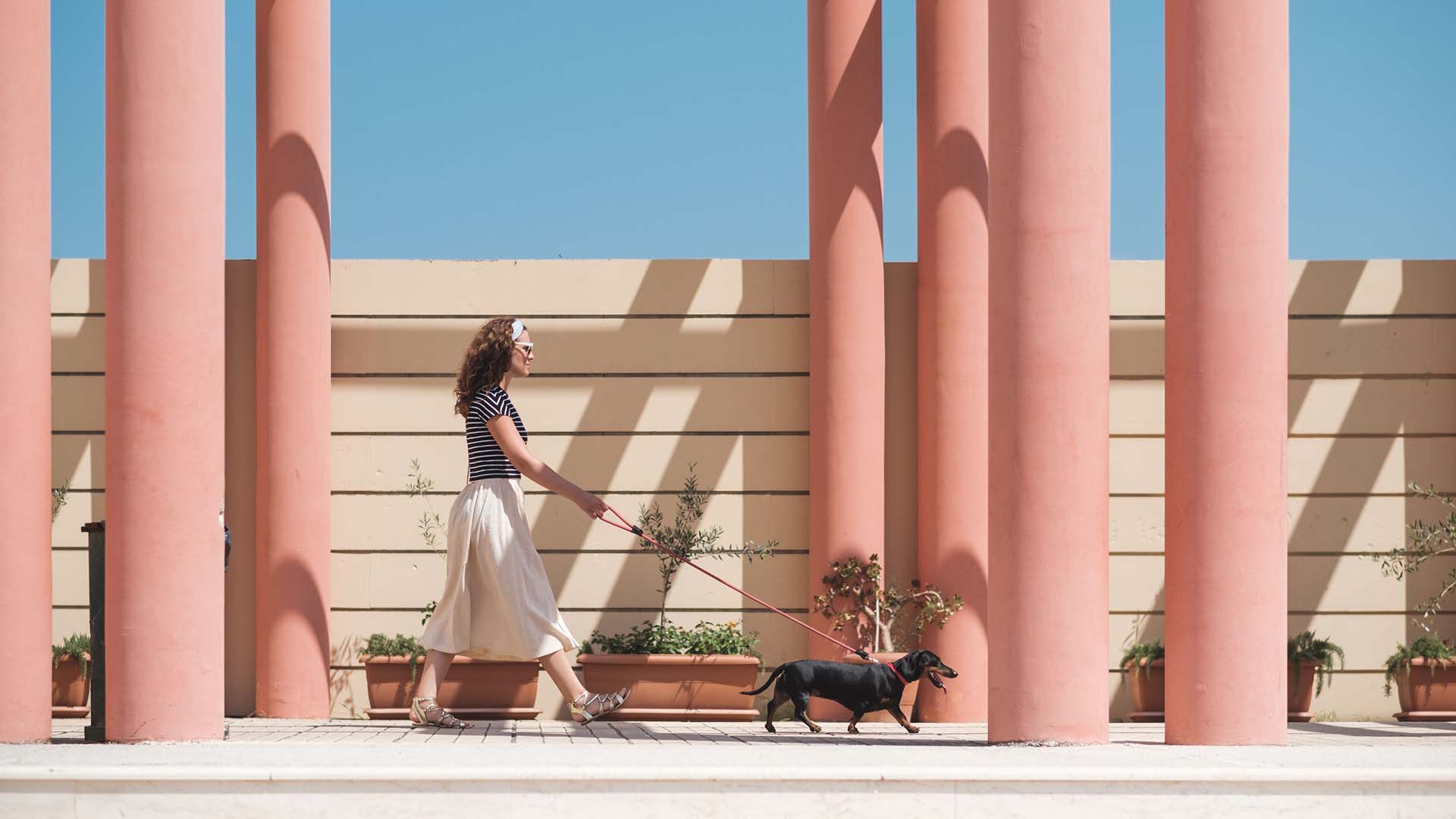 Person in striped shirt and skirt walking black daschund dog past pink columns.